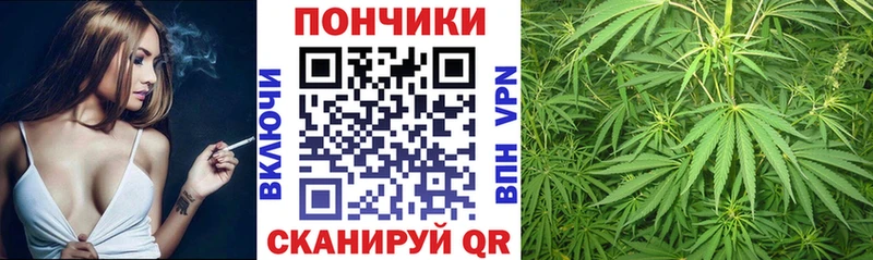 Марихуана сатива  Купить где  Сунжа 